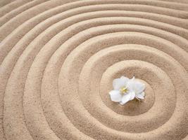 Delicate white violet flower on the background of sand, spiral pattern. Zen, calm, beauty photo