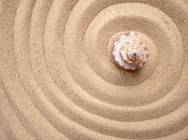 Shell in circles on the sand. Zen concept. Spiral in the sand photo