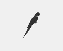 Parrot Silhouette on White Background. vector