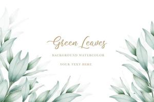 elegant eucalyptus leaves background design vector