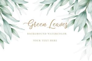 elegant eucalyptus leaves background design vector