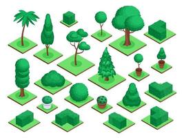 Isometric 3d trees. City park or forest tree plants, bushes, flowers pots. Spruce, palm tree, garden green fences landscape elements vector set