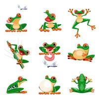 Funny frogs in various poses. Amphibian croaking, jumping, hunting, catching fly, smiling. Exotic tropical red-eyed tree frog. Wildlife animal cartoon vector set