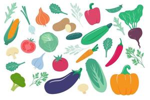 Vegetables. Cartoon onion, corn and carrot, cucumber and potato, cabbage. Pepper, tomato and beetroot, garlic fresh farm vegetable vector set