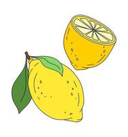 Lemon doodle Vector color illustration isolated on white background