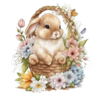 Pasqua coniglietto cestino clipart png