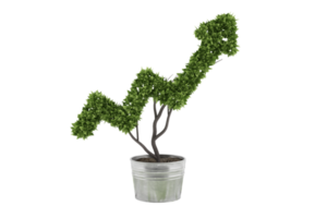 Plant in a pot cut in the shape of an arrow. concept of success and improvement png