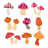 Set of Flat Cute Mushroom vector