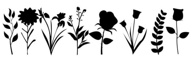 collection of flower stalk designs in silhouette style on isolated white background. vector
