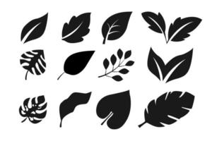 collection of leaf designs in silhouette style on white isolated background. vector