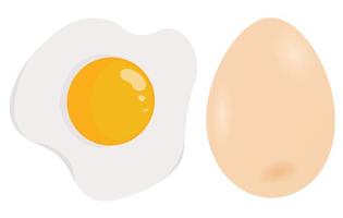 Fried egg isolated on white background. Vector EPS