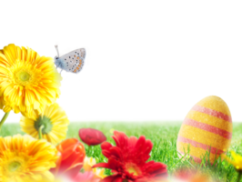 Easter decorations with eggs and flowers on a fresh green field png