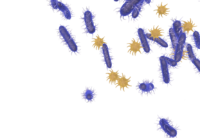 Enlargement 3d rendering of group of flu bacterias png