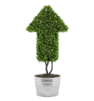 Plant in a pot cut in the shape of an arrow. concept of success and improvement png