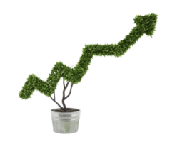 Plant in a pot cut in the shape of an arrow. concept of success and improvement png