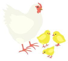 vector aislado ilustración de gallina y pollitos