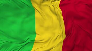 Mali Flag Seamless Looping Background, Looped Bump Texture Cloth Waving Slow Motion, 3D Rendering video