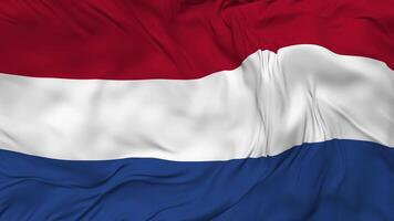 Netherlands Flag Seamless Looping Background, Looped Bump Texture Cloth Waving Slow Motion, 3D Rendering video