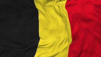 Belgium Flag Seamless Looping Background, Looped Bump Texture Cloth Waving Slow Motion, 3D Rendering video