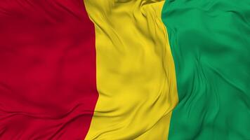 Guinea Flag Seamless Looping Background, Looped Bump Texture Cloth Waving Slow Motion, 3D Rendering video