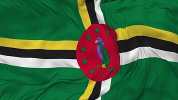 Dominica Flag Seamless Looping Background, Looped Bump Texture Cloth Waving Slow Motion, 3D Rendering video