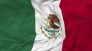 Mexico Flag Seamless Looping Background, Looped Bump Texture Cloth Waving Slow Motion, 3D Rendering video