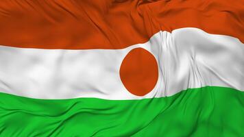 Niger Flag Seamless Looping Background, Looped Bump Texture Cloth Waving Slow Motion, 3D Rendering video