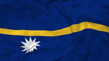 Nauru Flag Seamless Looping Background, Looped Bump Texture Cloth Waving Slow Motion, 3D Rendering video