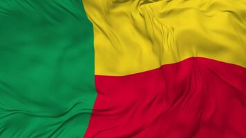 Benin Flag Seamless Looping Background, Looped Bump Texture Cloth Waving Slow Motion, 3D Rendering video