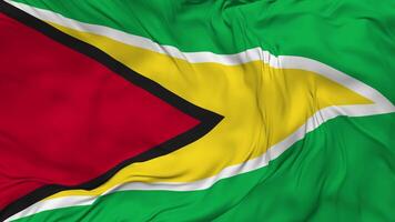 Guyana Flag Seamless Looping Background, Looped Bump Texture Cloth Waving Slow Motion, 3D Rendering video