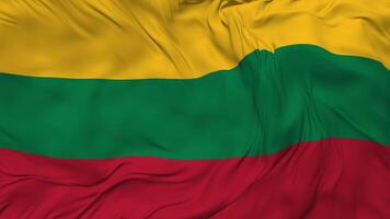 Lithuania Flag Seamless Looping Background, Looped Bump Texture Cloth Waving Slow Motion, 3D Rendering video