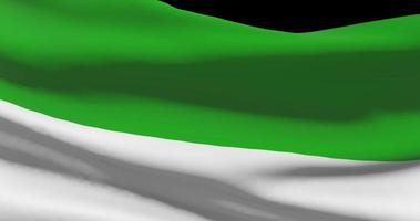 Sierra Leone flag waving closeup, national symbol of country background video