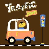 vector cartoon of cute bear driving car in traffic jam