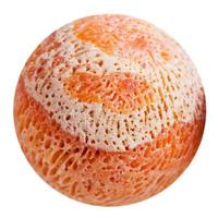 ball from orange sponge coral gemstone isolated photo