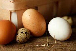 Chicken and quail eggs on a wooden rustic background photo