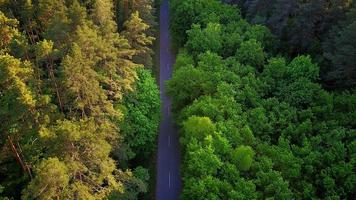 Road through the forest, aerial view photo