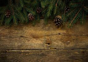 Christmas tree branches on wooden texture photo