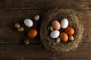 Fresh chicken and quail eggs in a nest on a wooden background photo