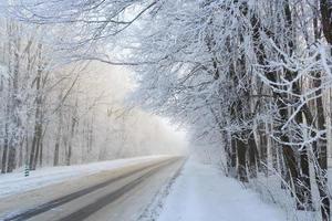 Road at the winter landscape in the forest photo