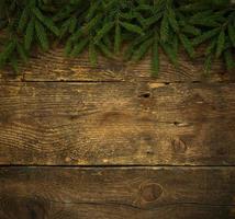 Christmas tree branches on wooden texture ready for your design photo