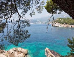 hermosa línea costera ver con Mar verde agua foto