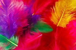 Bright multi-colored feathers background photo