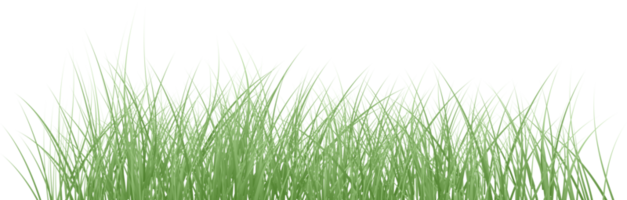 spring grass png