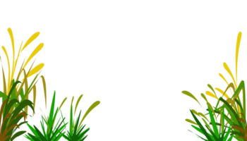 Green grass plant illustration background png