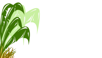 sfondo illustrazione di verde impianti di Banana le foglie e giallo erba png