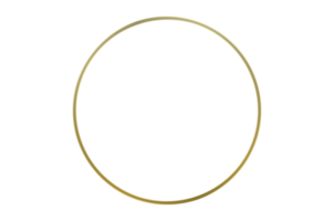 luxe gouden glanzend grens cirkel Aan transparant achtergrond PNG het dossier