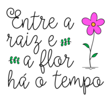 söt affisch i brasiliansk portugisiska med en blomma. översättning - mellan de rot och de blomma där är tid. png