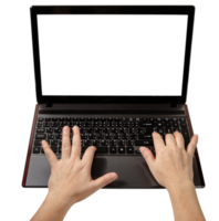 Woman using laptop isolated png