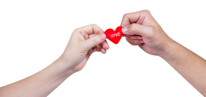 hand holding heart-shaped isolated png