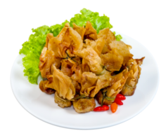 gebraten Wonton oder toong Zange isoliert png